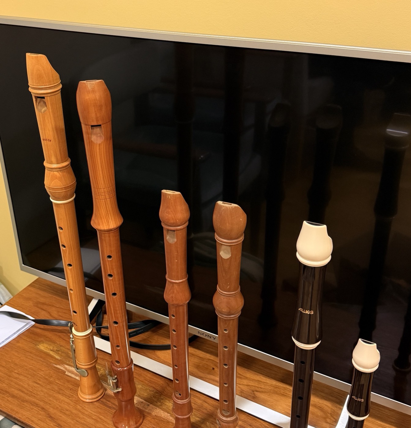 Six recorders of different sizes standing in a row